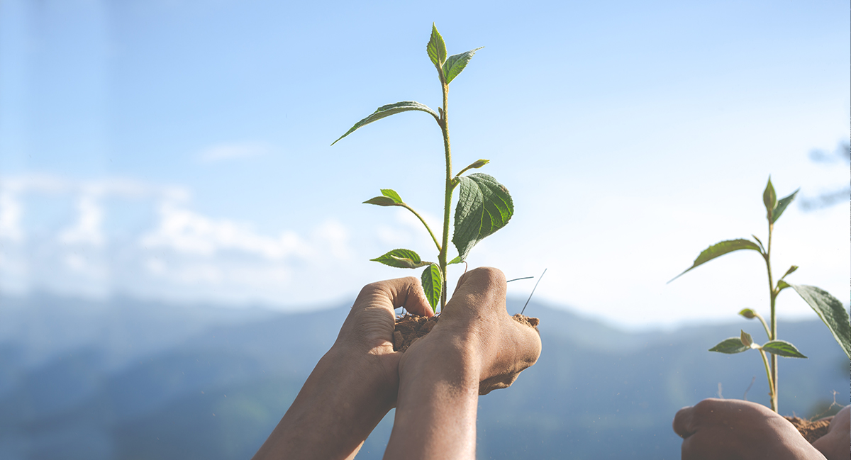 Истории успеха